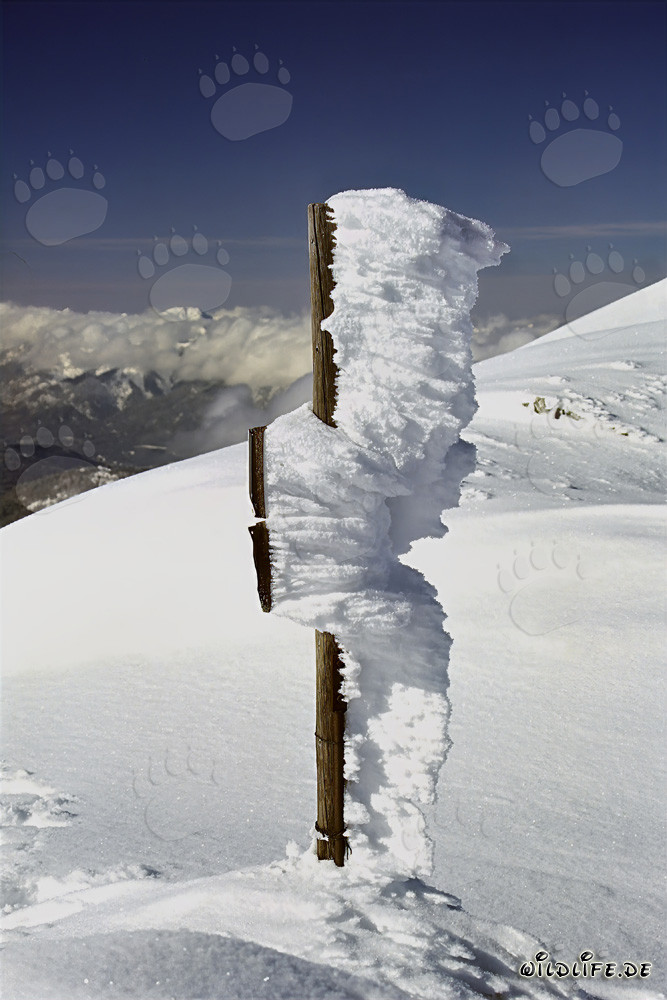 Ice-covered Sign at the Karwendel Cable Car Mountain Station - Winter Landscape in the Alps