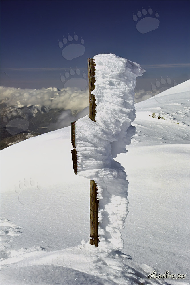 Vereister Wegweiser an der Bergstation Karwendelbahn - Winterlandschaft in den Alpen