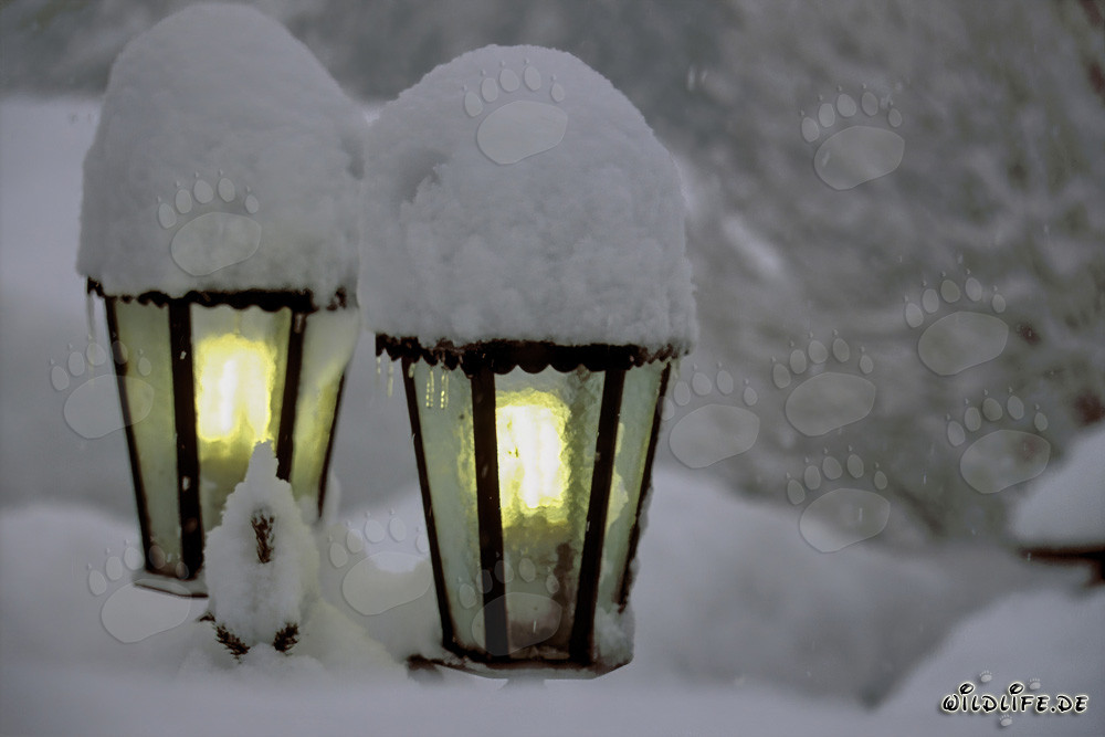 Ambiente invernal: Lámparas nevadas en Mittenwald, Baviera