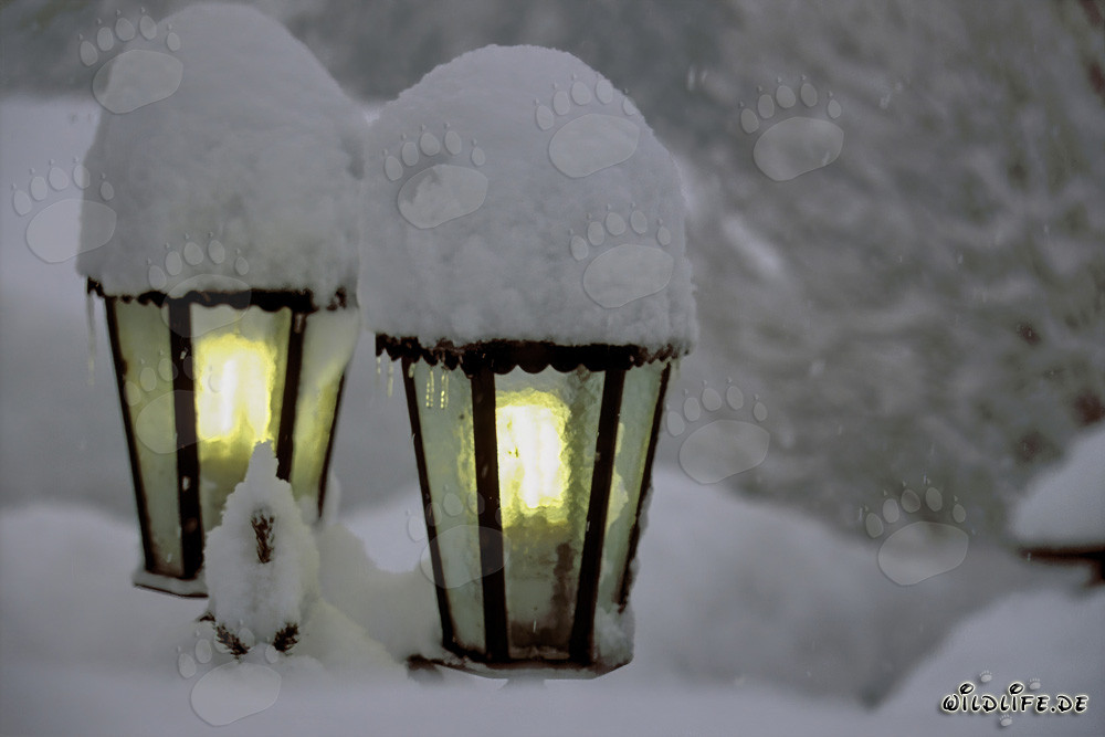 Ambiance hivernale : Lampes enneigées à Mittenwald, Bavière
