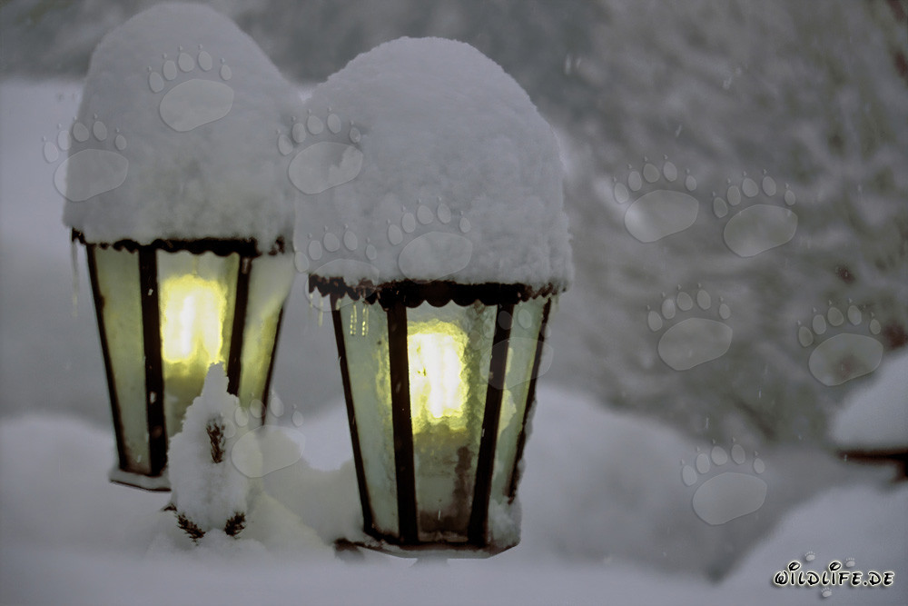 Winter Atmosphere: Snow-Covered Lamps in Mittenwald, Bavaria