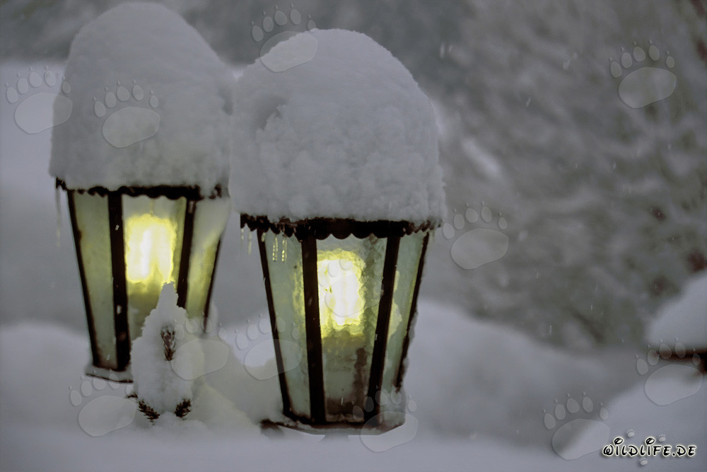 Winterliche Stimmung: Verschneite Lampen in Mittenwald, Bayern