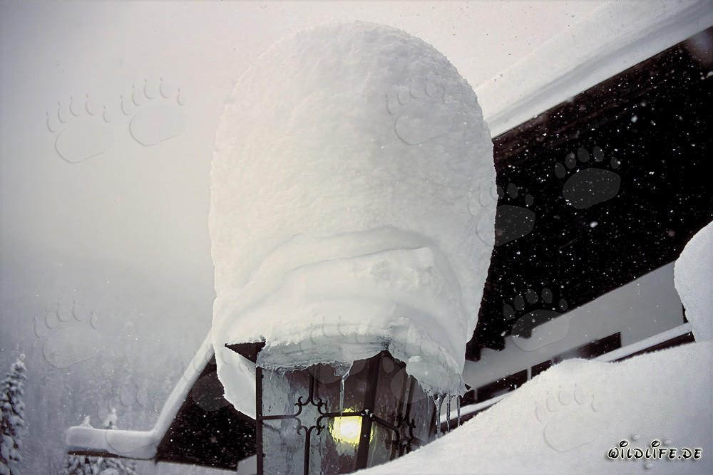 Winterliche Atmosphäre: Verträumte Laterne im Schnee