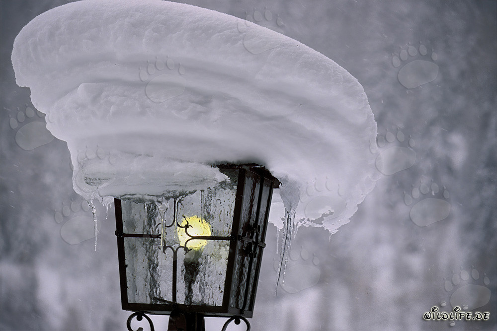 Winter impression of a snow-covered street lamp in Bavaria