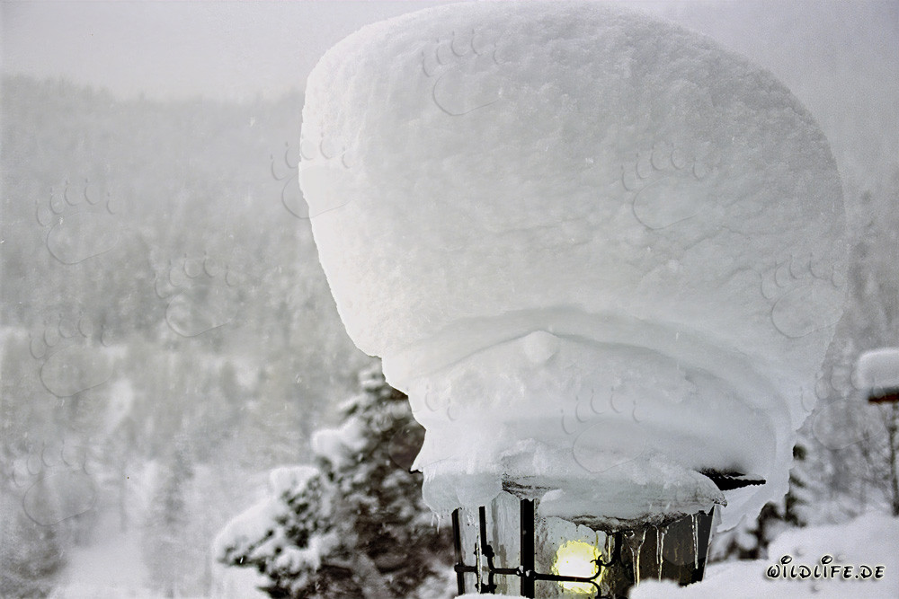 Paesaggio invernale con lampione innevato
