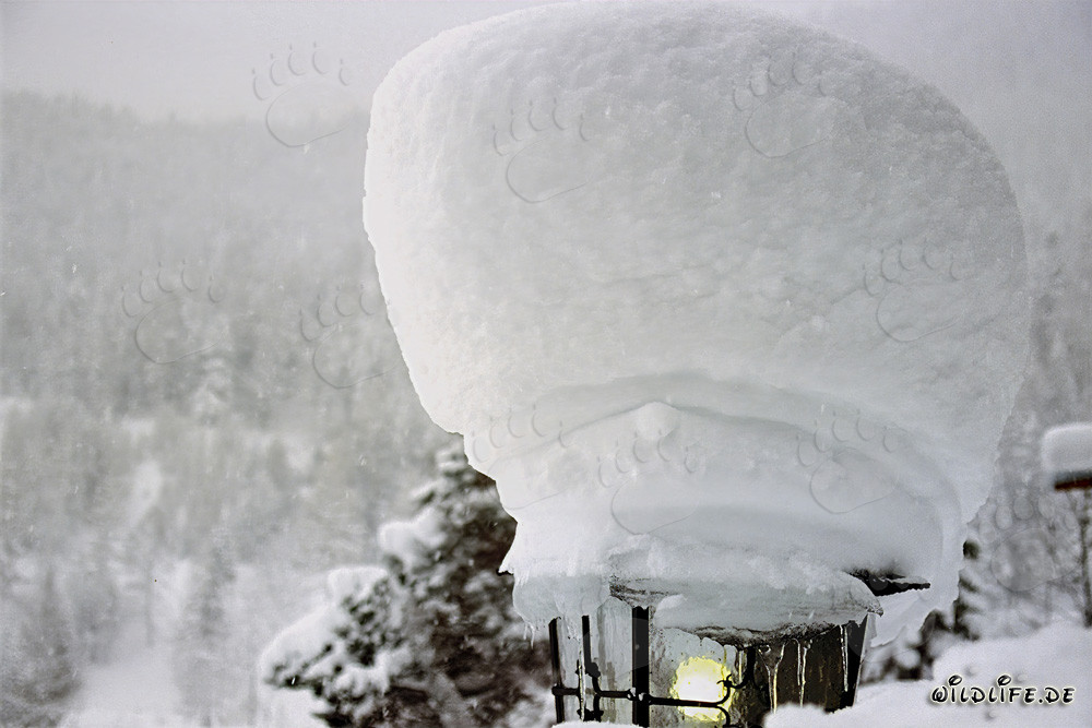 Paysage hivernal avec lampadaire enneigé