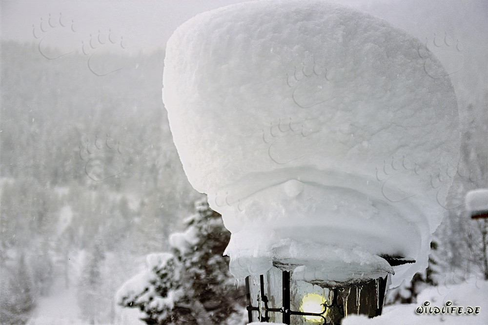 Winter landscape with snow-covered street lamp