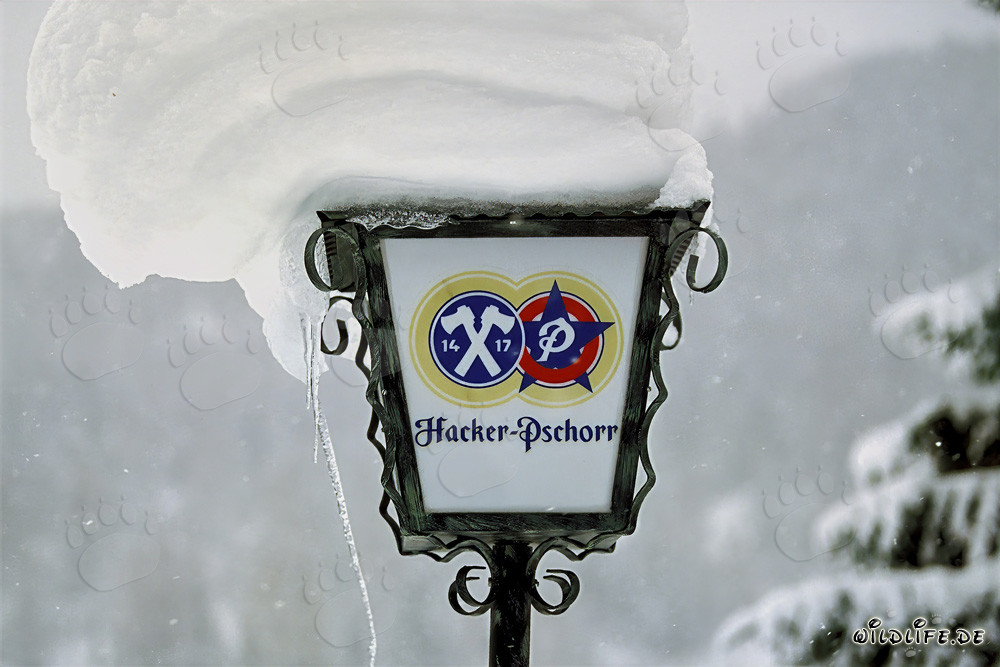 Winter landscape with snow-covered lamp in Bavaria