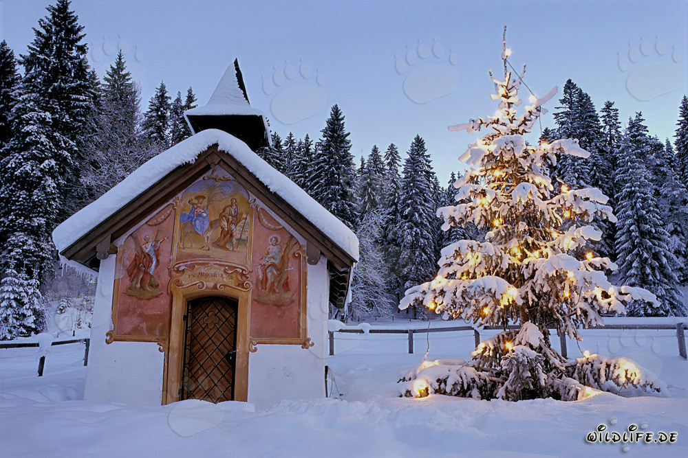 Stimmungsvolles Weihnachten in den bayerischen Bergen