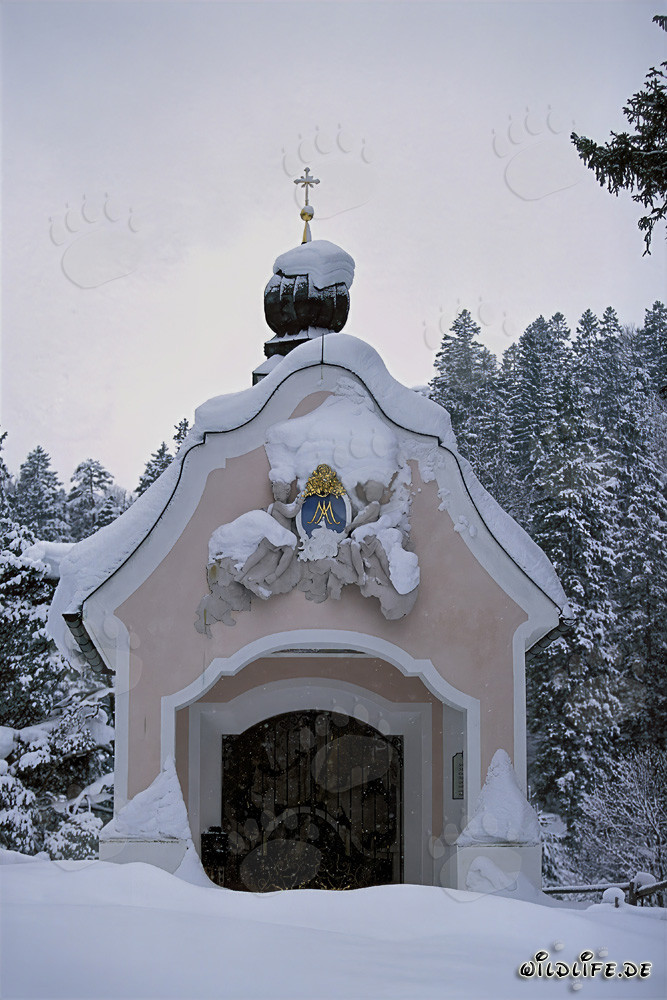 Atmospheric Christmas in the Bavarian Mountains