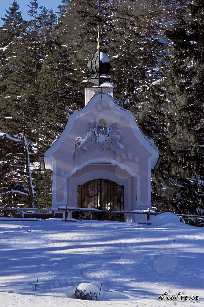 Magical Christmas in the Bavarian Alps