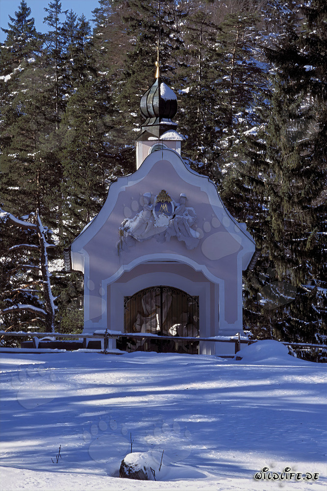 Natale magico nelle Alpi bavaresi