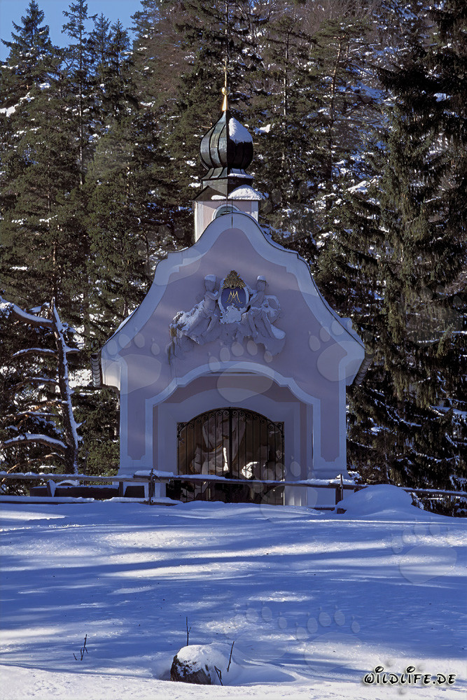 Noël magique dans les Alpes bavaroises