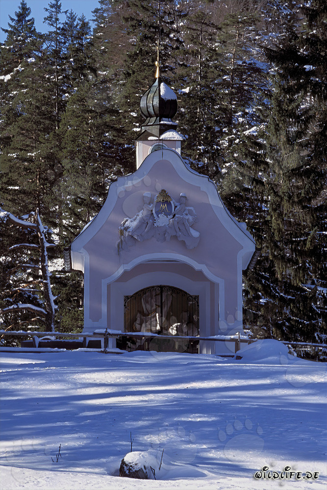 Magische Weihnachten in den bayerischen Alpen