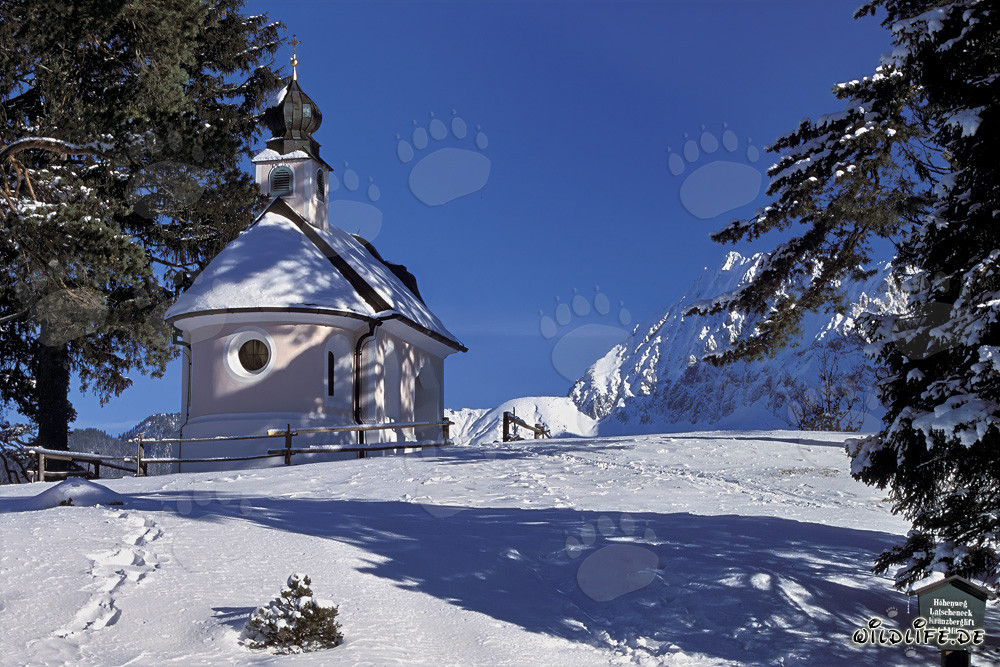 Ambiente navideño en los Alpes bávaros