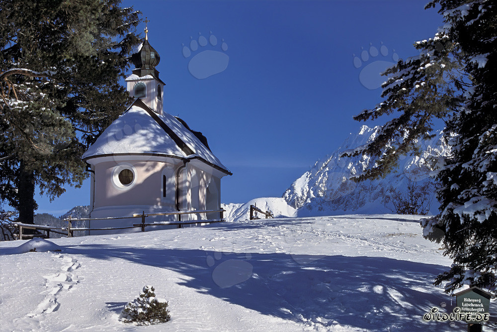 Ambiance de Noël paisible dans les Alpes bavaroises