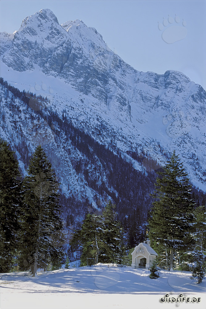 Atmosfera natalizia romantica nelle Alpi bavaresi