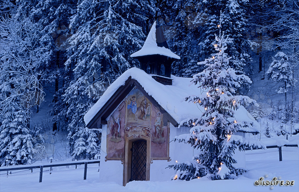 Peaceful Christmas in the Bavarian Alps