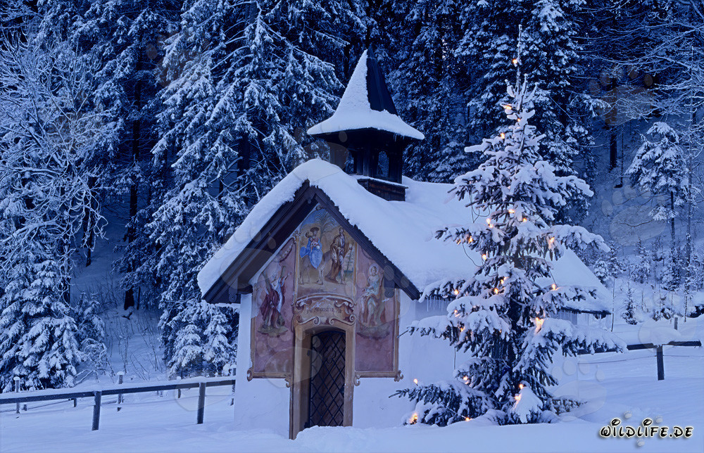 Noël paisible dans les Alpes bavaroises