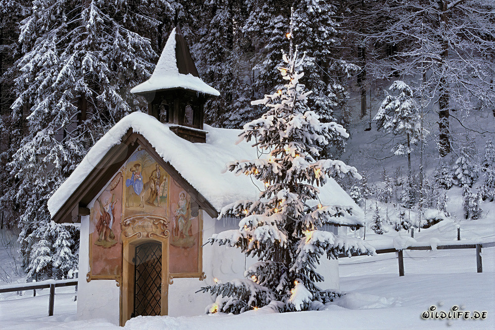 Contemplative Christmas Atmosphere in the Bavarian Mountains