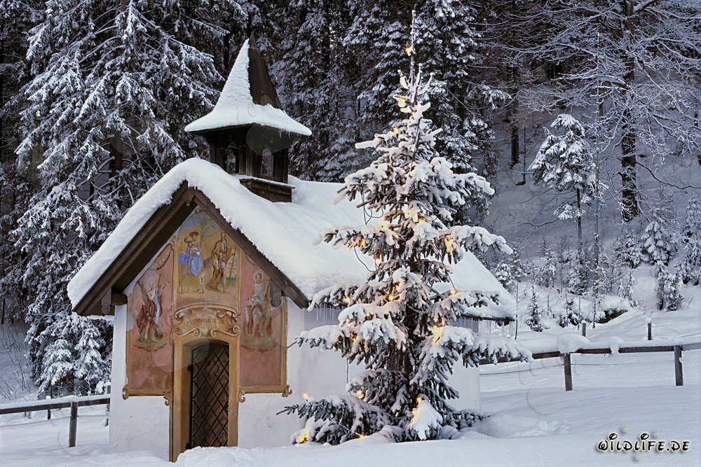 Ambiance de Noël contemplative dans les montagnes bavaroises