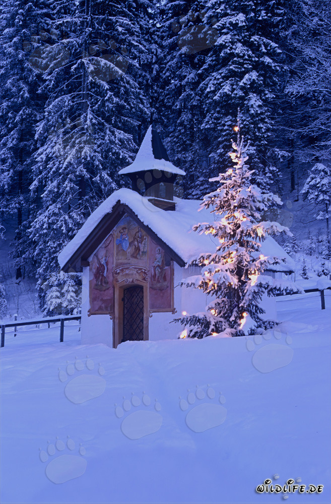 Contemplative Christmas atmosphere in the Bavarian Alps