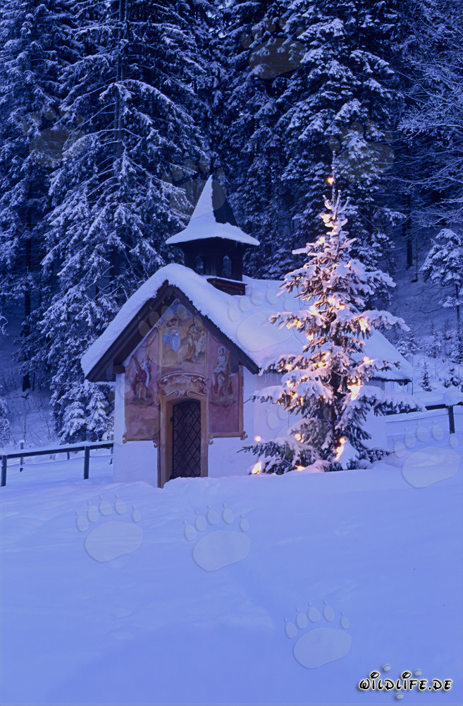 Ambiente navideño tranquilo en los Alpes bávaros