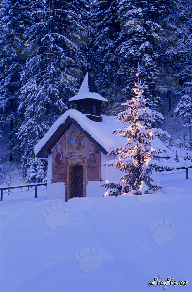 Ambiance de Noël paisible dans les Alpes bavaroises