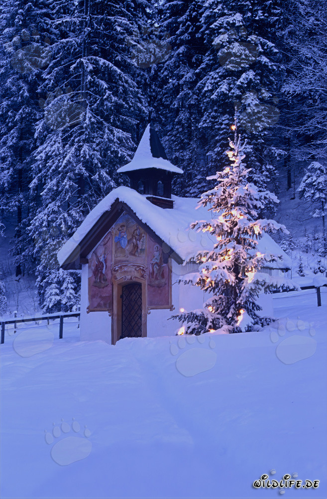 Besinnliche Weihnachtsstimmung in den bayerischen Alpen