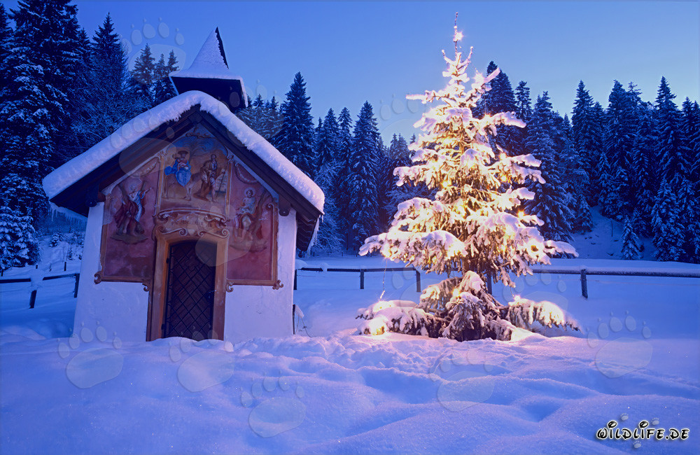 Contemplative Christmas Atmosphere in the Bavarian Alps