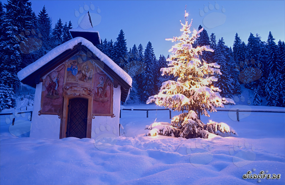 Ambiance de Noël réfléchie dans les Alpes bavaroises
