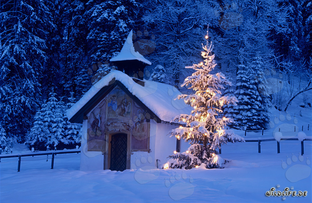 Natale romantico nelle Alpi bavaresi