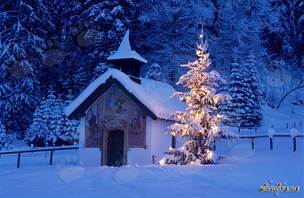 Navidad romántica en los Alpes bávaros