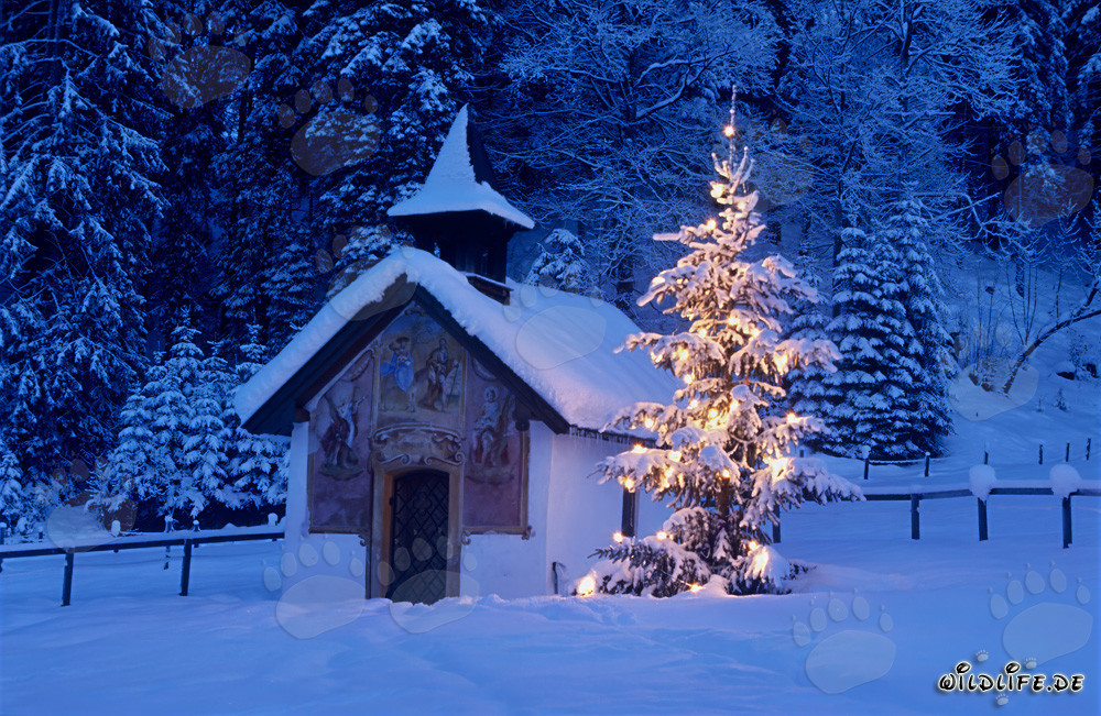 Noël romantique dans les Alpes bavaroises