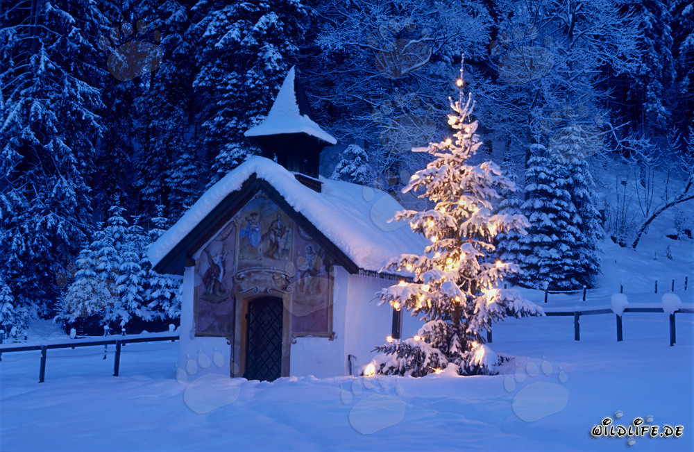 Romantisches Weihnachten in den bayerischen Alpen
