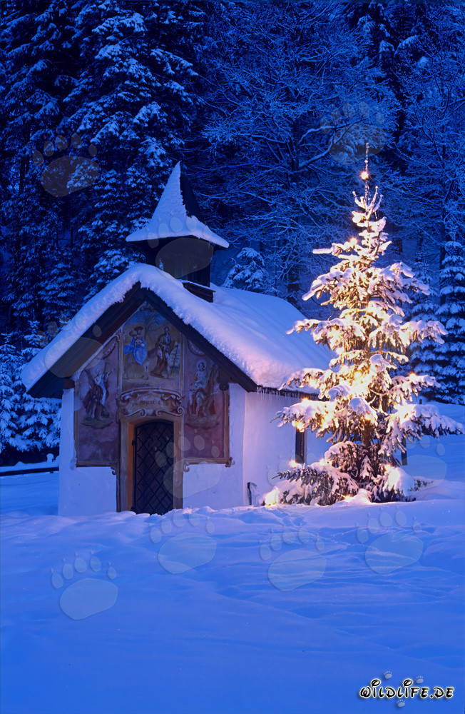 Festive Christmas in the Bavarian Mountains