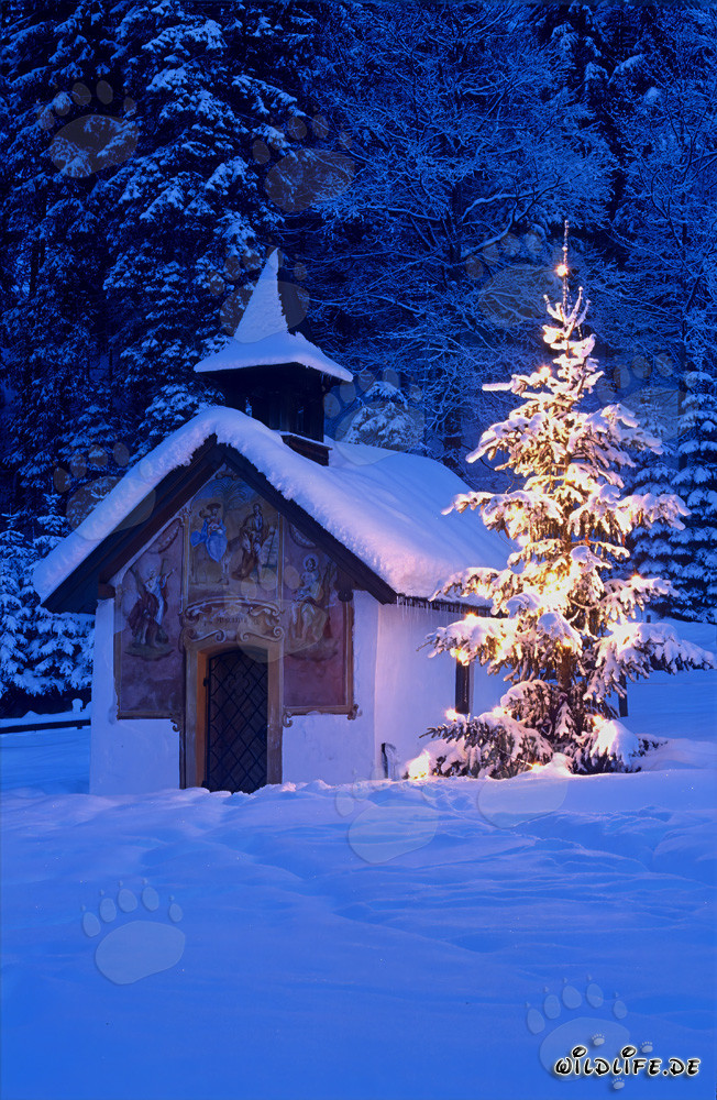 Navidad serena en los Alpes bávaros