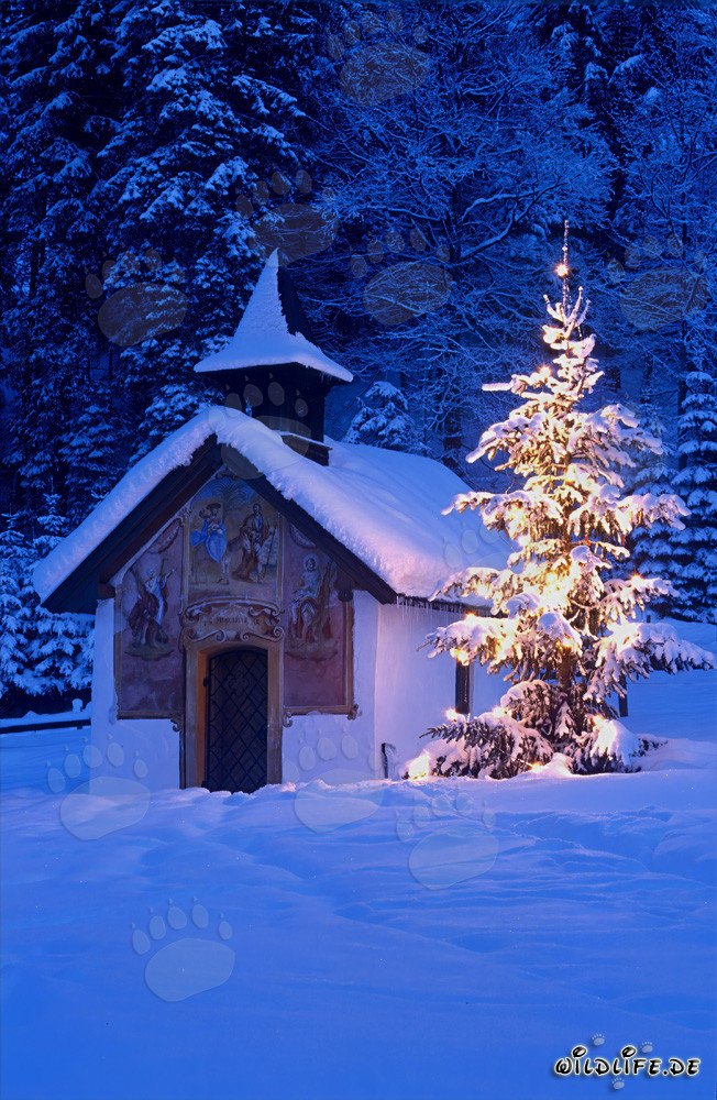 Noël paisible dans les montagnes bavaroises