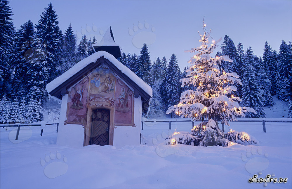 Peaceful Christmas in the Bavarian Alps