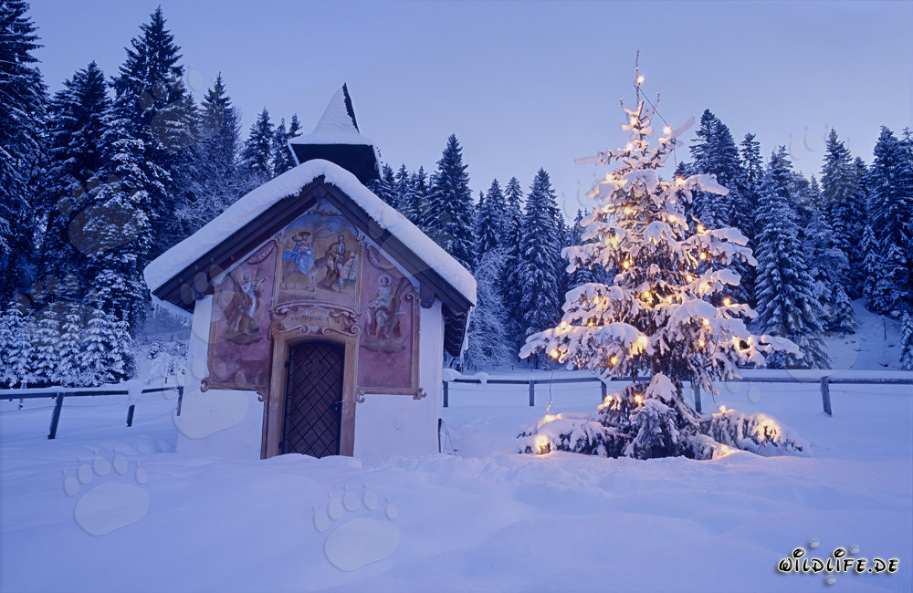 Natale contemplativo nelle Alpi bavaresi