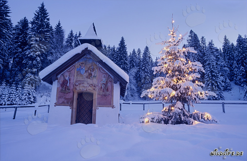 Navidad contemplativa en los Alpes bávaros