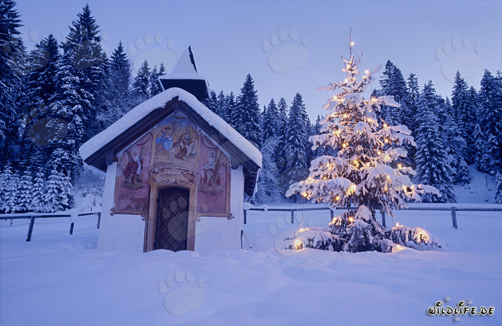 Besinnliche Weihnachten in den bayerischen Alpen