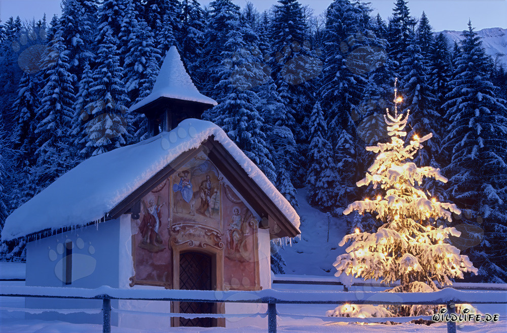 Contemplative Christmas atmosphere in the Bavarian mountains