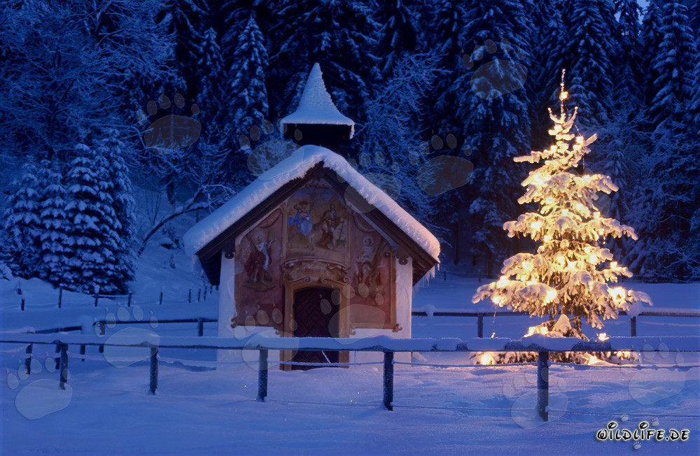 Romantic Christmas Chapel in the Bavarian Alps
