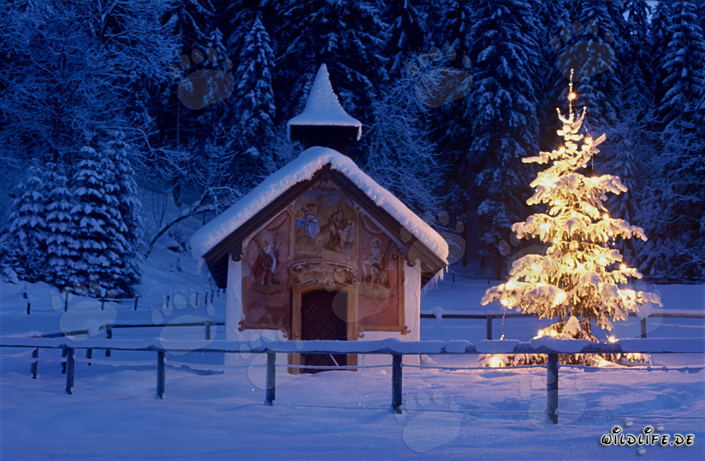 Contemplative Christmas Atmosphere in the Bavarian Mountains