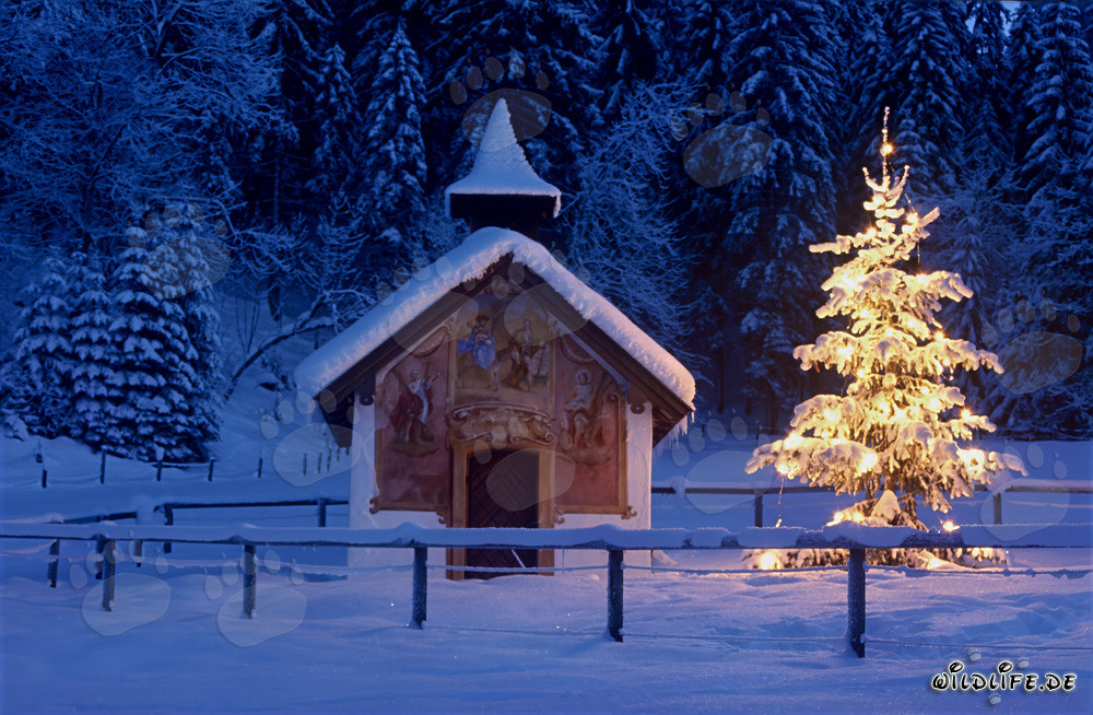 Ambiente navideño sereno en los Alpes bávaros