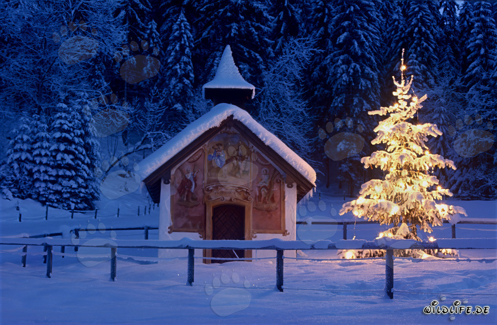 Ambiance de Noël contemplative dans les montagnes bavaroises