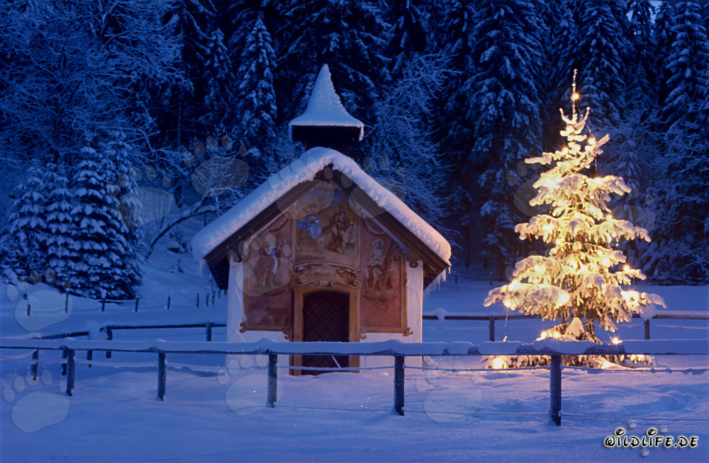 Besinnliche Weihnachtsstimmung in den bayerischen Bergen