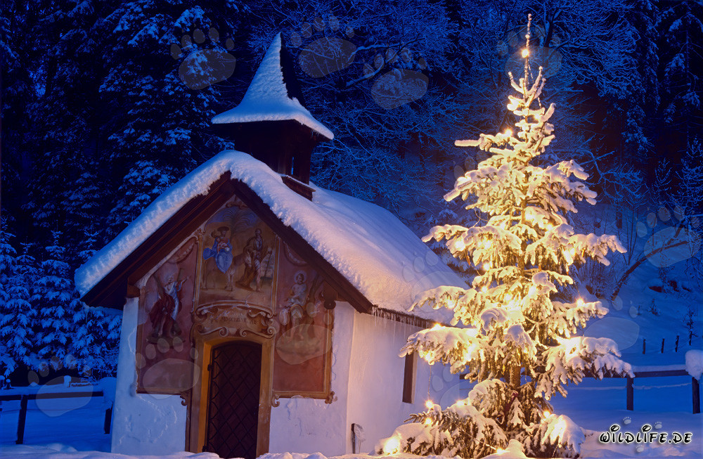 Romantic Christmas Atmosphere in the Snowy Mountain Chapel