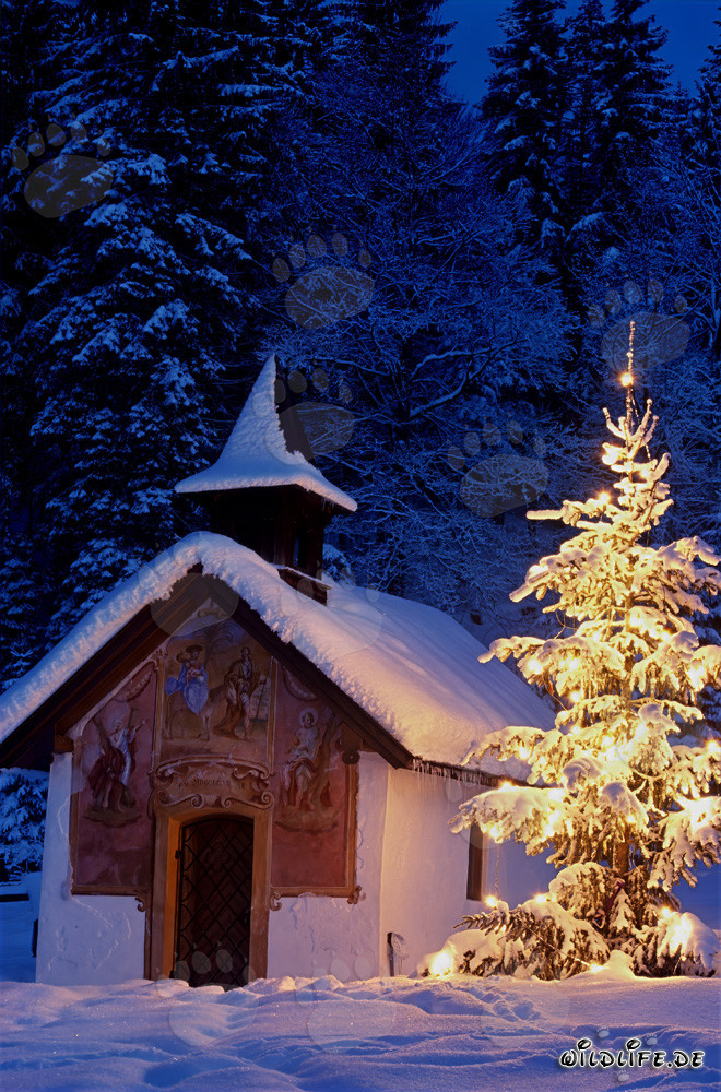 Idyllic Christmas in the Bavarian Alps